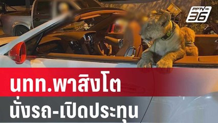 กินลมชมวิว! นทท.พาสิงโตนั่งรถ-เปิดประทุน  | เข้มข่าวค่ำ | 23 ม.ค. 67