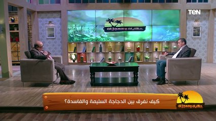 د. مصطفى بسطامي: لازم قبل دبح الفراخ بـ 5 أيام وقف أي أدوية تأكل علف ومياه فقط