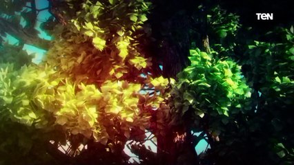 أسرار مبهرة عن الفيل ملك الغاية الحقيقي.. وكيف تفرق بين الدجاجة السليمة والفاسدة| حكايات ومعجزات