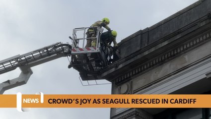 Wales headlines 23 January: more yellow wind warnings for Wales
