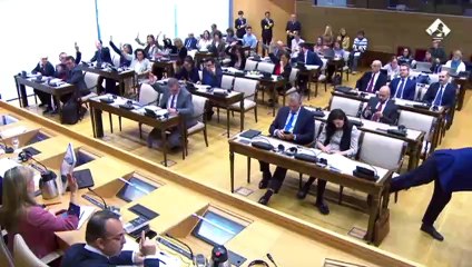 PSOE y socios blindan a Tsunami y CDR de los delitos de terrorismo en la ley de amnistía