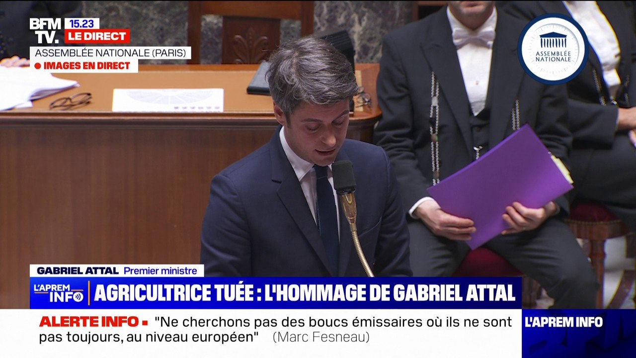Gabriel Attal interpelle les oppositions à l'Assemblée nationale: "Vos larmes pour nos agriculteurs ressemblent à des larmes de crocodile"