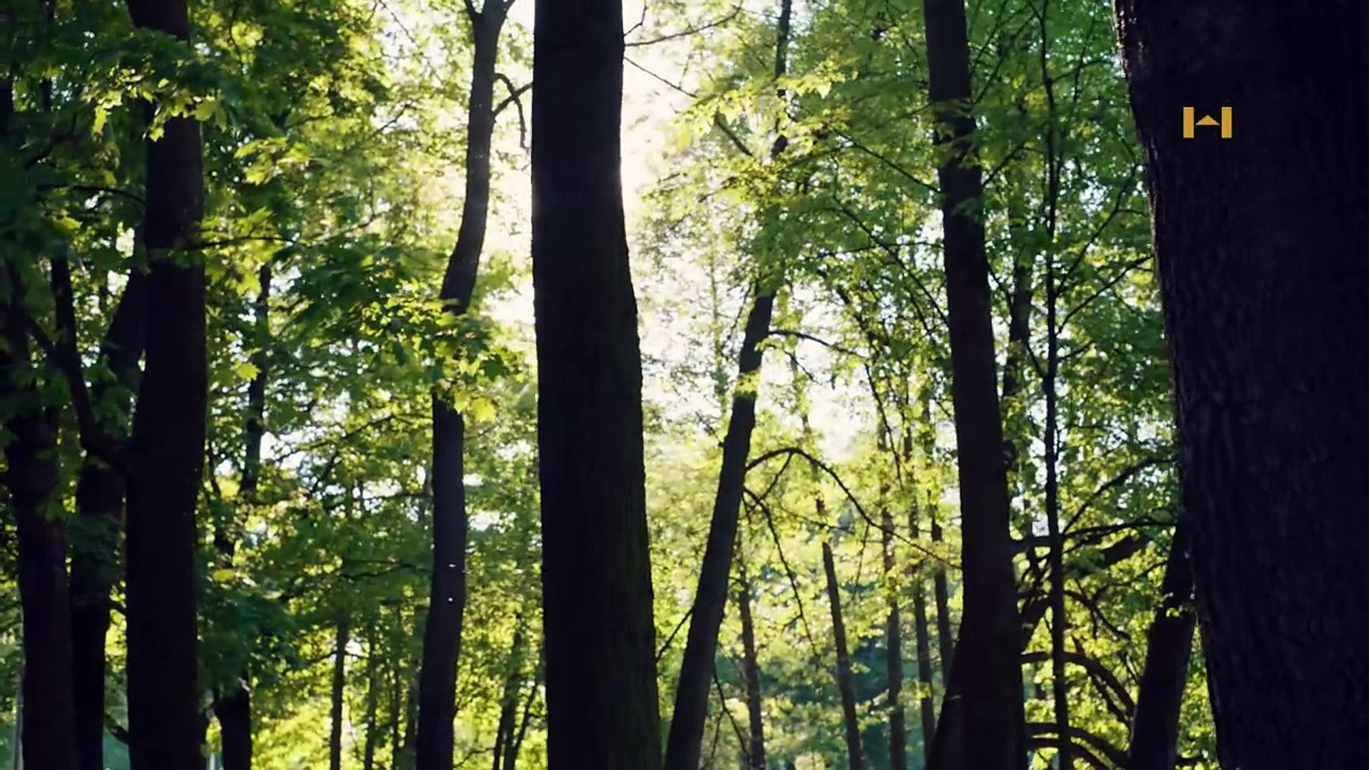 Video institucional para House Of Creative Legal Studies