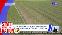 Ilang taniman ng tubo, nanunuyot na; produksyon ng asukal, bumaba | SONA