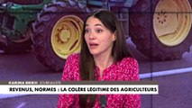 Karima Brikh : «Le malaise est profond et il s'accumule»