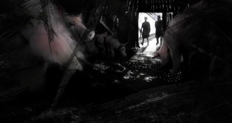 Letter to a Pig - Trailer