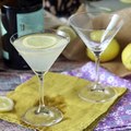 Gin fizz, um ihn während des aperitifs mit allen seinen gästen zu teilen