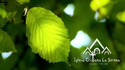 15 LA BIBLIA LA PALABRA DE DIOS _ LA APLICACIÓN DE LA BIBLIA V