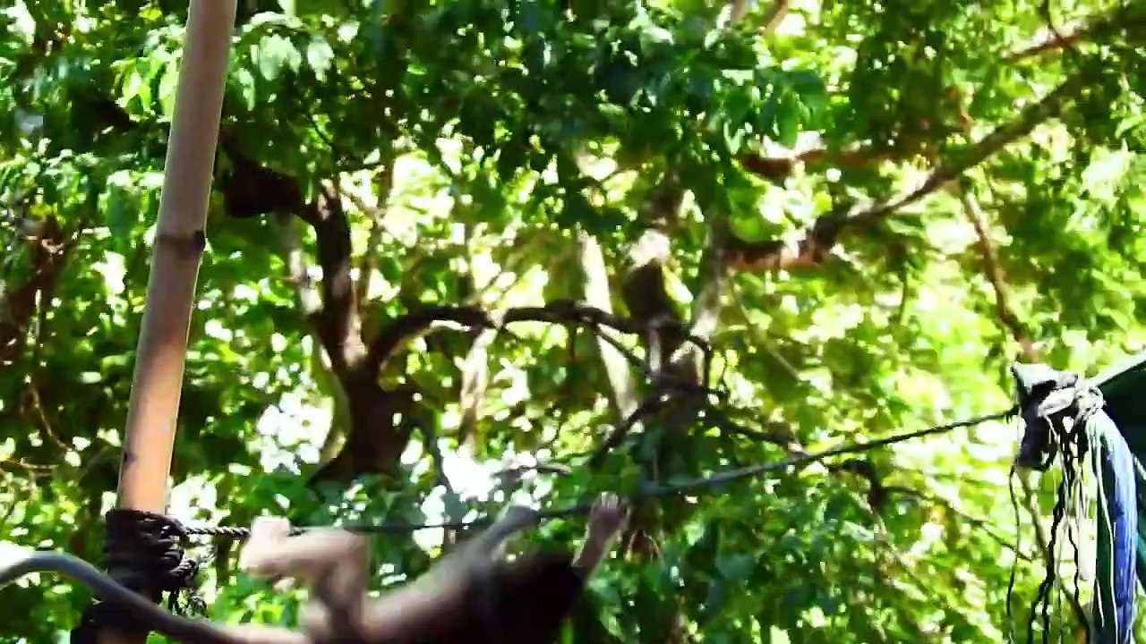 Poor Malika Mom Block Milk For Little Monika, Monika Very Hungry (720p_25fps_H264-192kbit_AAC)