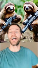 Des singes soldats ?