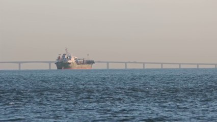 Tải video: La crisi nel Mar Rosso pesa sulle prospettive economiche