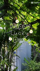 Happy Lucky Day