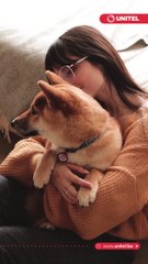 ¿Le hablas a tus perritos?, estas son 10 palabras que entienden con más frecuencia