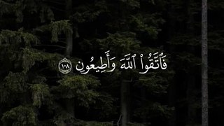 القرآن الكريم سورة الشعراء الشيخ محمد صديق المنشاوي فاتقوا الله وأطيعون وما أسألكم عليه من أجر إن أجري إلا على رب العالمين}سورة الشعراء - الايه ١٠٨ ١٠٩ #quran