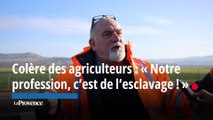 Colère des agriculteurs : « Notre profession, c’est de l’esclavage ! », s’élève Thierry sur le barrage de l’A7, dans la Drôme