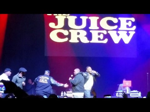 The Symphony - Kool G. Rap & Big Daddy Kane Live