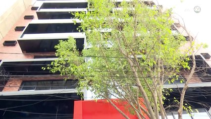 Cuatro amparos ha tramitado ya el CEO de Yox Holding