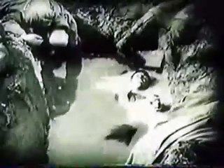 My Pierwsza Brygada - We, the First Brigade