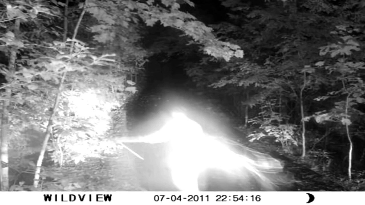 fairyangel captured by trailcamera 2011_1080p