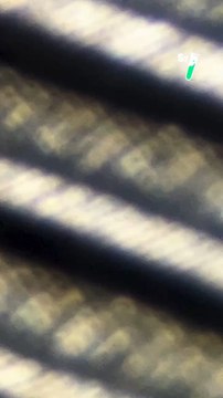 Sauras-tu deviner ce qu’on te montre au microscope ? Donne nous ta réponse dans les commentaires !