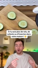 La solution miracle contre les nuisible !