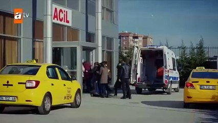 246. Huerfanas (Kirgin Cicekler), en español