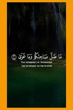 Amazing Recitation Of Qur'an #reciting #koran #Tilawat #100k #Tilawah #foryou #foryoupage #VoiceofQuranSoutAlQuran #islam #islamic_video