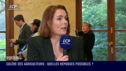 Questions au Gouvernement - le débrief - Questions au Gouvernement - le débrief du mardi 23 janvier 2024