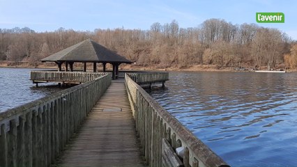 Pollution du lac des Doyards (Vielsalm) aux  hydrocarbures