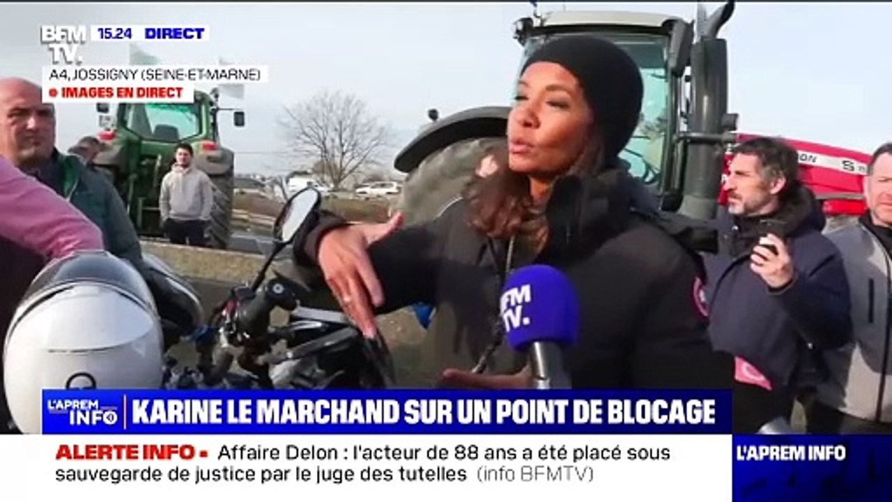 Karine Le Marchand rejoint un barrage sur l'autoroute en soutien aux agriculteurs. BFMTV