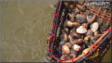 More Music organise event to mark 20 year cockling tragedy anniversary