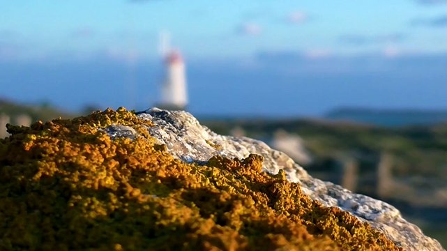 2018 Vagues à l'âme * Trigone Production