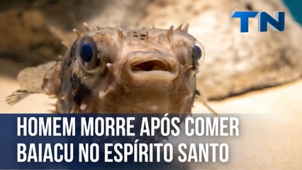 Homem morre após comer baiacu no Espírito Santo