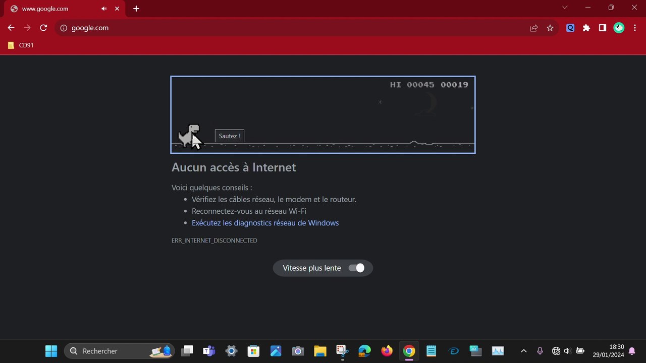 COMMENT ETRE IMMUNISE CONTRE LES CACTUS DANS LE JEU DE DINO !!!
