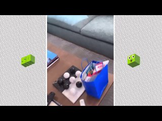 Megan Thee Stallion’s Dogs Run Christmas ‘20