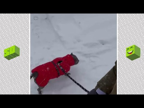 Jim Jones Begs NY To Stay Inside During Insane Snowstorm