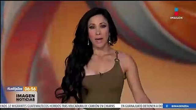 Localizan a 12 perros y 2 gatos sin vida en la playa El Maviri, Sinaloa