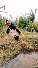 New funny movie link bio