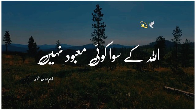 Allah kay Darbaar Se ❤ Maulana Tariq Jameel status Islamic status bayan {teach of islam)#shorts