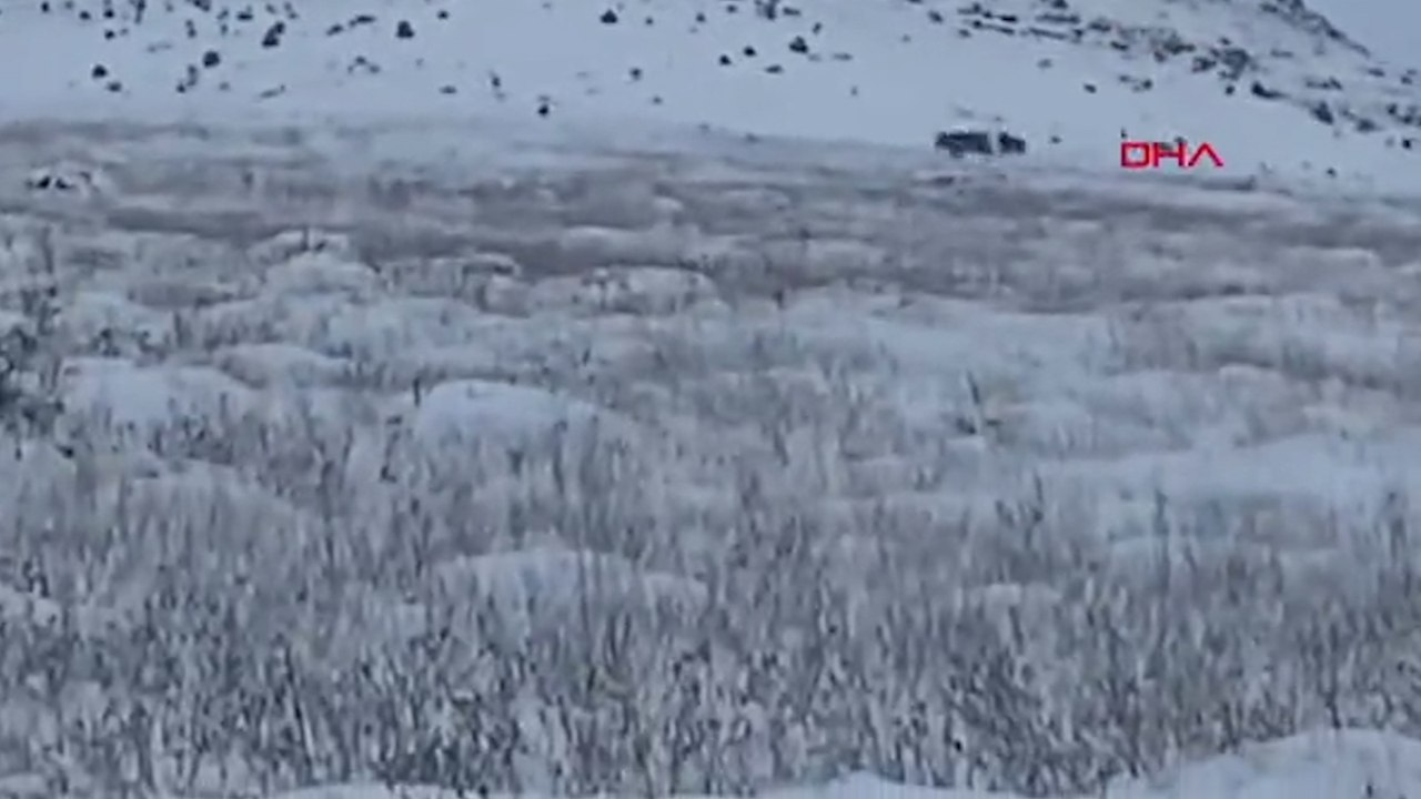 Köye inen kurt sürüsü kamerada