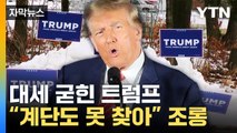 [자막뉴스] '파죽지세' 트럼프 대세론 굳혔다...바이든과의 재대결 조기 확정 가능성 / YTN