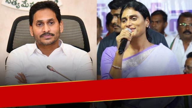 Ys Sharmila Strategy.. టైం చూసి Jagan ను దెబ్బకొడుతాను Sharmila శపథం.. | Telugu Oneindia