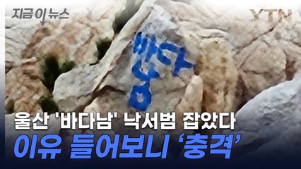 울산 '바다남' 낙서범 “집안 남자들 좋은 기운 받으라고...” [지금이뉴스] / YTN