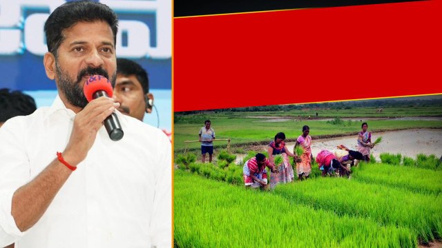 రైతు రుణ మాఫీ చేయడానికి సిద్ధమవుతోన్న Revanth Reddy సర్కార్.. | Telugu Oneindia