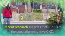 Managing Chronic Kidney Disease: Lifestyle Tips and Treatment Options