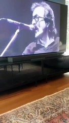 Mauro Icardi, Cem Karaca hayranı çıktı! İsmail Hacıoğlu'na başarılar diledi