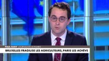 L'édito de Paul Sugy : «Bruxelles fragilise les agriculteurs, Paris les achève»