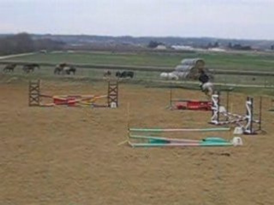 petit saut avec presto