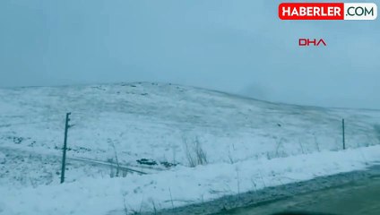 Gümüşhane'de Köye İnen Kurt Sürüsü Görüntülendi