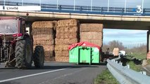 Colère des agriculteurs : les prix alimentaires, 